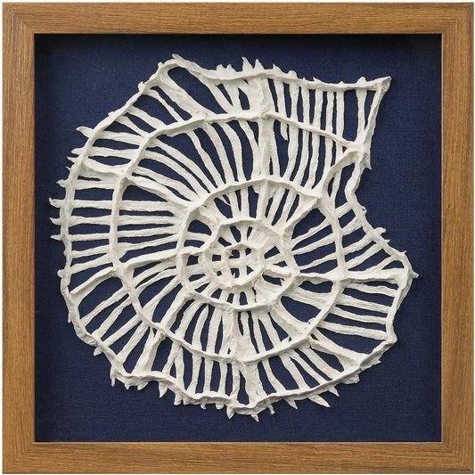 FOLKOR Beach Wall Art Decor for Living Room Bedroom Guest Room, 12" Framed Seashell Shadow Box Art with Blue Background, 3D Coastal Wall Hanging Accent for Entryway Staircase Exhibition Gallery Wall