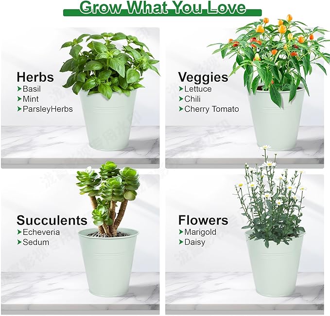 Herb Garden Planter Indoor Kit – 6 Metal Pots with 2 Trays for Windowsill & Kitchen Counter – Modern Decorative Indoor Planters for Herbs, Succulents & Small Plants, Mint