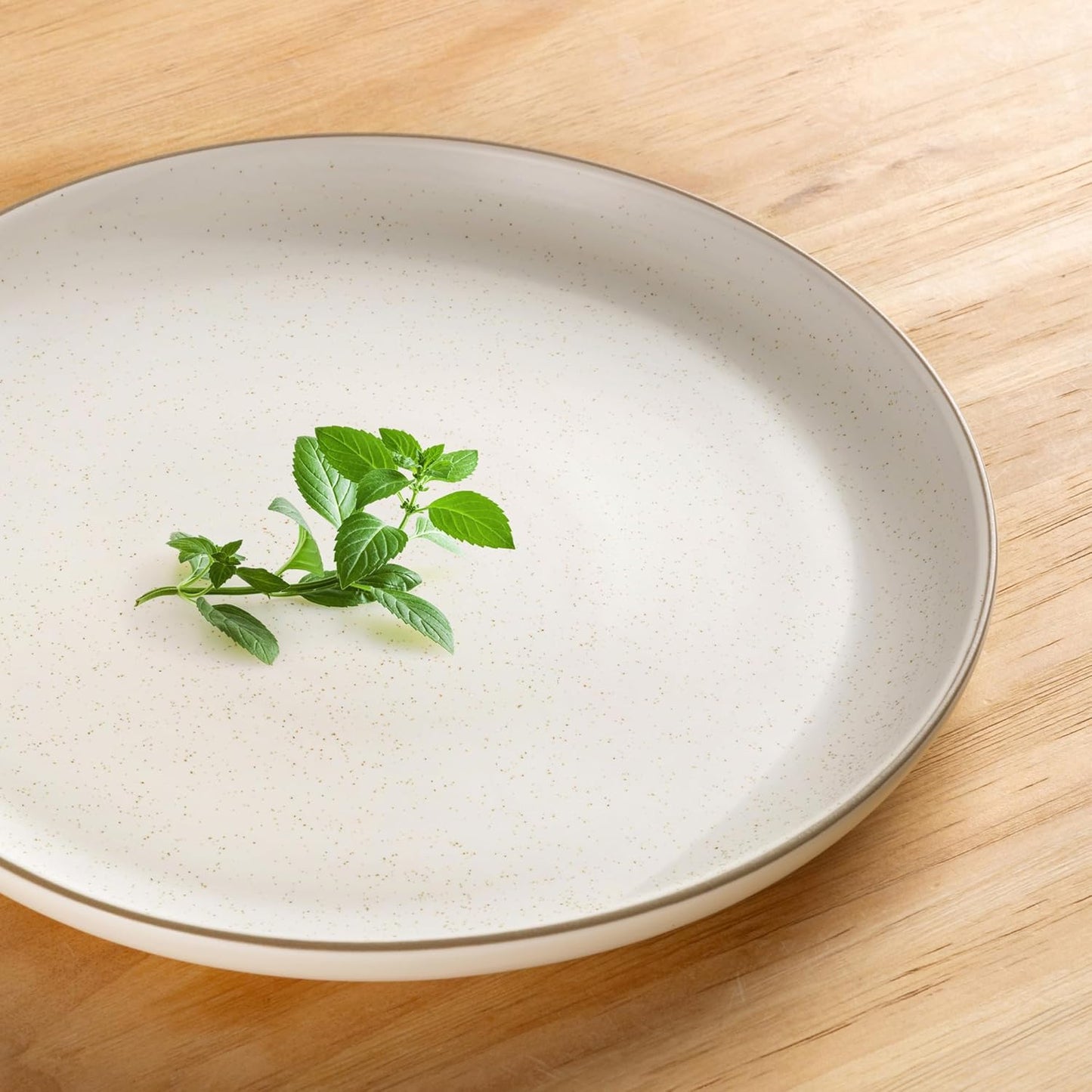 GBHOME Dinnerware Set for 4, GBHOME 12 Pieces Handmade Speckled Glaze Plates and Bowls Sets, Modern Style Scratch Resistant Stoneware Dishes Set, Dishwasher & Microwave Safe