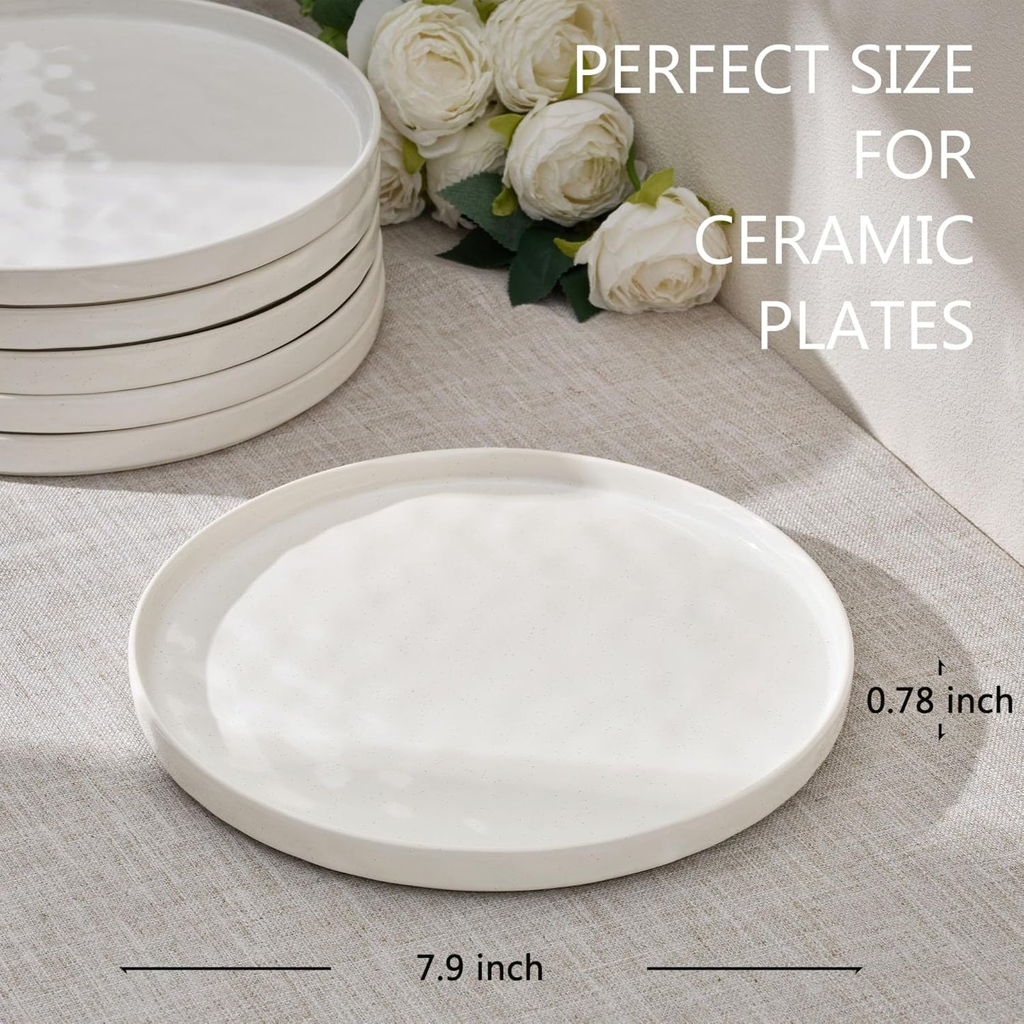 LIANYU Dinner Plates Set of 6, 7.9 Inch Large Ceramic Dessert Plate for Kitchen, Porcelain Serving Dishes for Salad Appetizer Cake Bread, Scratch Resistant, Microwave & Dishwasher Safe, Polar White