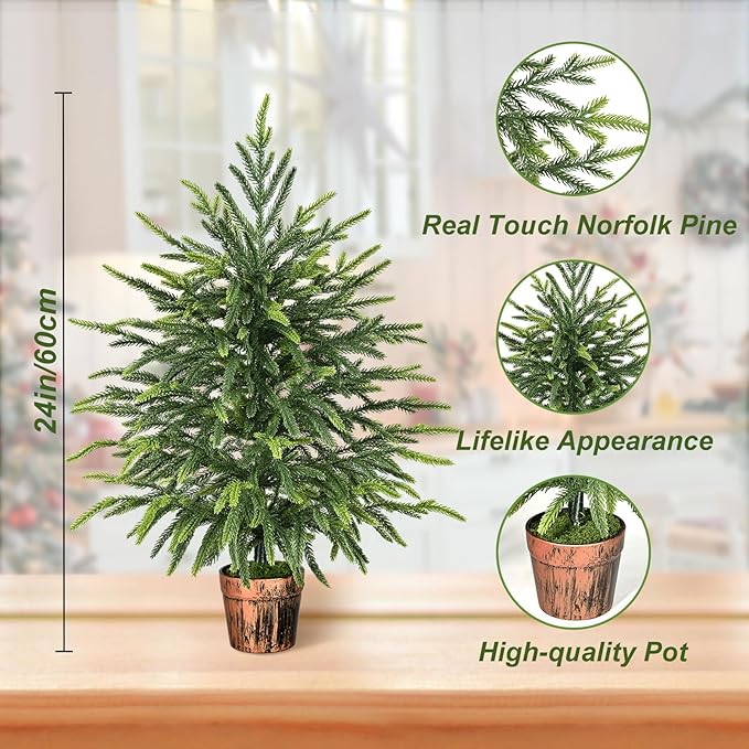 2FT Norfolk Pine Tree with Pot - Tabletop Christmas Tree with Real Touch PE Branch Tips for Front Porch Kitchens Home Indoor Outdoor Xmas Decor