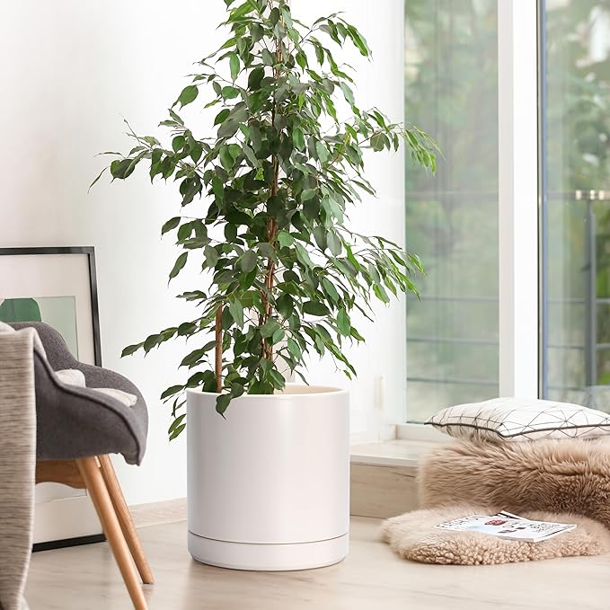 D'vine Dev Set of 2 Plants Pots, 10 Inch Ceramic Planter Pot for Plants with Drainage Hole and Saucer, Oatmeal, 94-V-E-8