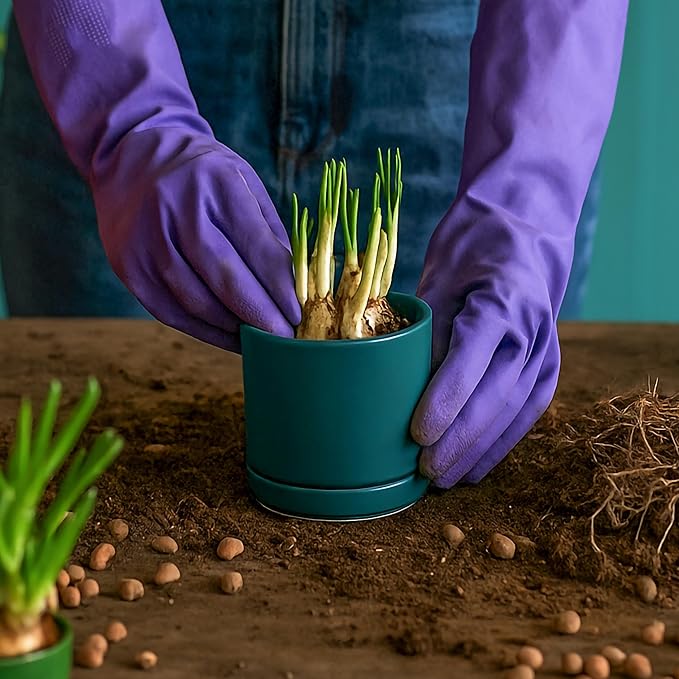 D'vine Dev 3.5 Inch Ceramic Planter Pot with Drainage Hole and Saucer, Indoor Cylinder Round Planter Pot, Teal, 94-O-A-9