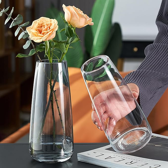 FANTESTICRYAN Modern Glass Vase Irised Crystal Clear Glass Vase for Home Office Decor (Crystal Clear)