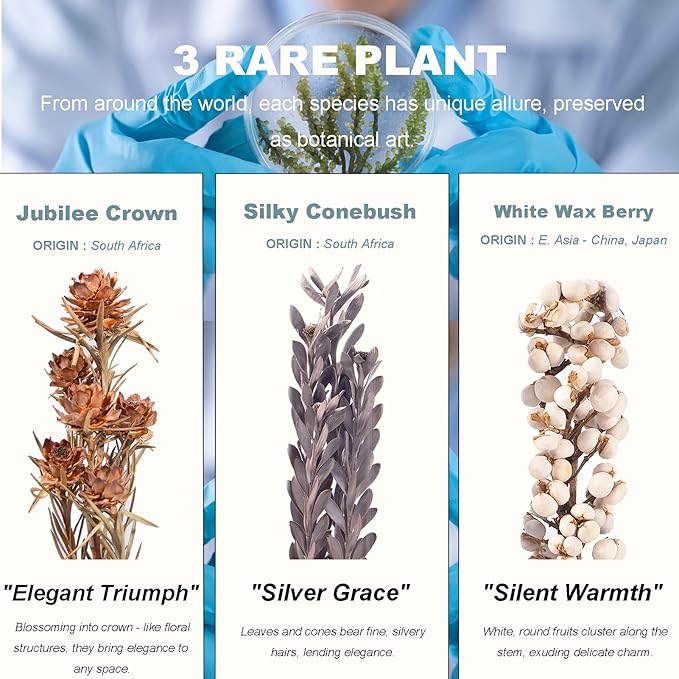 3Pcs Dried Flowers Book Shelf Decor,Boho Shelf Decor,Small Plants Decor for Office Shelves,Natural Forest Green Plants Decor with Wooden Base,Rustic Farmhouse Decor,Unique Gifts for Women,Friends