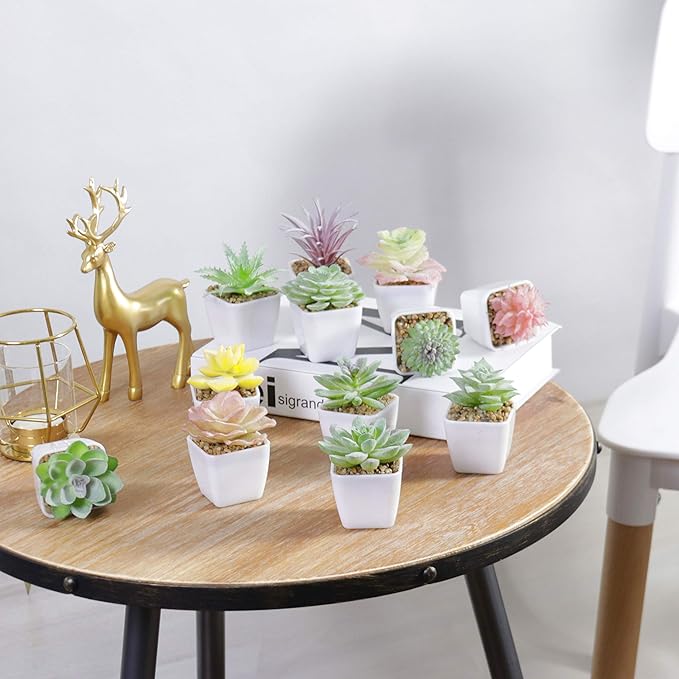 Tiita Artificial Faux Succulents in Pots Fake Plants Plastic Arrangement Planter Small Mini Tiny Decoration for Home Office Desk Window Sill Bathroom Bedroom Outdoor Indoor 12 Set