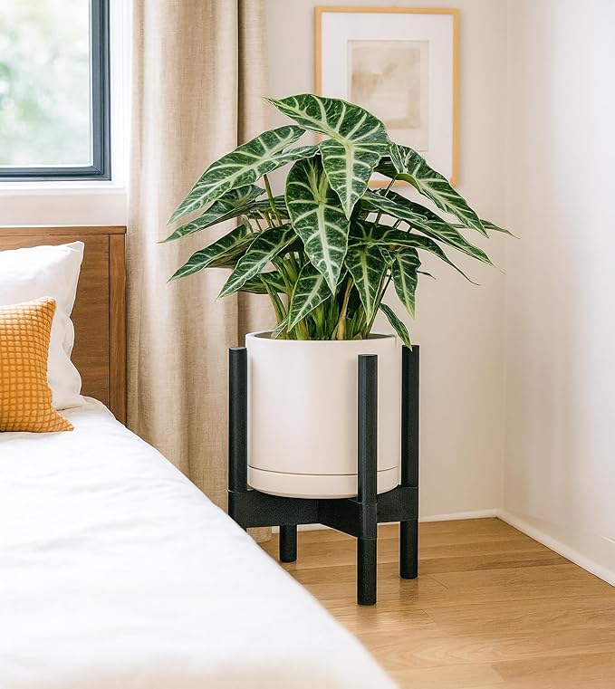 D'vine Dev Ceramic Planter with Ebony Stand - 8 Inch Modern Round Flower Pot with Wood Planter Holder, Oatmeal, 55-B-M-8