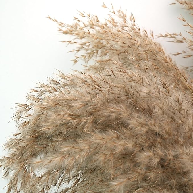 30-inch Tall Nature Pampas Grass Bouquet Decor - Boho Flowers and Feathers for Centerpieces, Perfect for Tall Floor Vase Fillers, Home Decor, Living Room, and Wedding Decor (20Pcs)