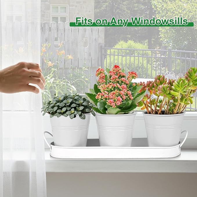 Herb Garden Planter Indoor Kit – 6 Metal Pots with 2 Trays for Windowsill & Kitchen Counter – Modern Decorative Indoor Planters for Herbs, Succulents & Small Plants, White