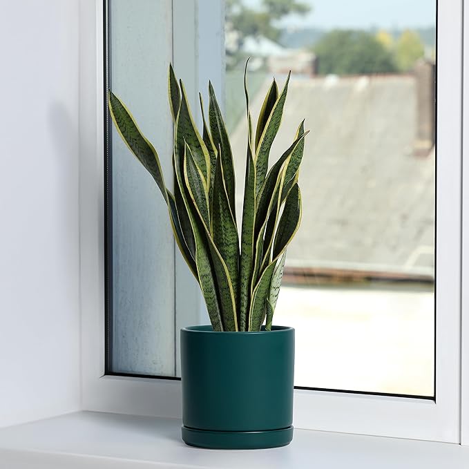 D'vine Dev Set of 2 Plants Pots, 6 Inch Ceramic Planter Pot for Plants with Drainage Hole and Saucer, Teal, 94-V-C-9