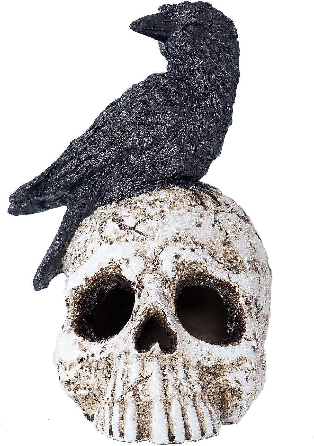LED Light Raven on Skull Statue - Crow on Skull Figurine Home Decor with LED Light Up Glowing Eyes