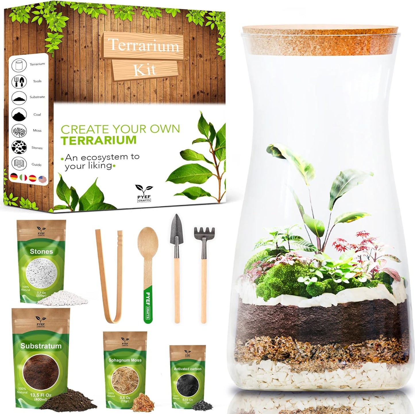 DIY Terrarium Kit for Adults – Build Your Own Self‑Sustaining Closed Ecosystem – 34 fl oz (1‑Liter) Glass Terrarium – Succulents, Air Plants, Fittonia, Fern – Plants Not Included