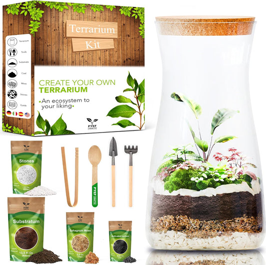 DIY Terrarium Kit for Adults – Build Your Own Self‑Sustaining Closed Ecosystem – 34 fl oz (1‑Liter) Glass Terrarium – Succulents, Air Plants, Fittonia, Fern – Plants Not Included