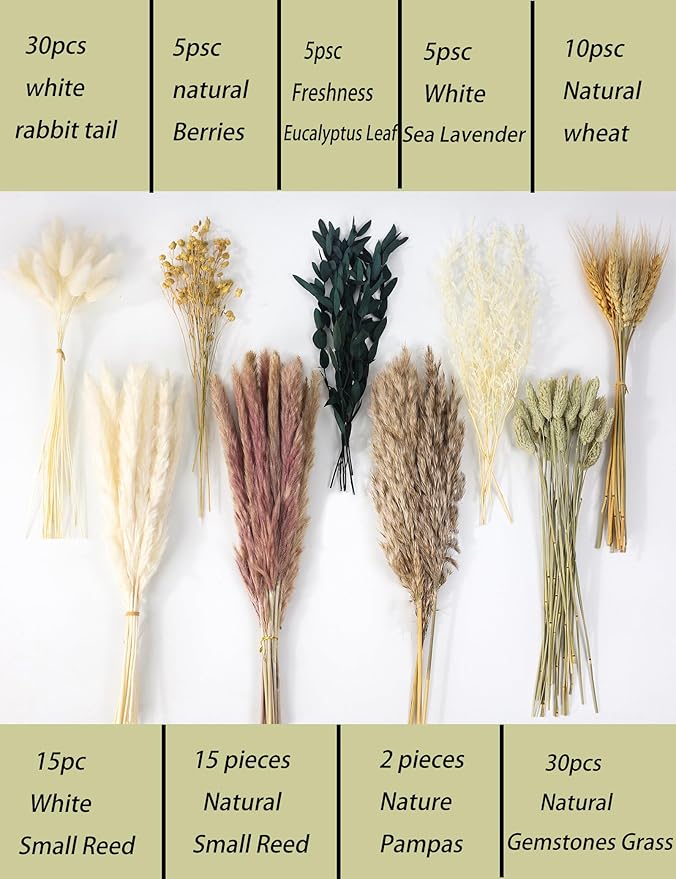 xin's convey 126pcs Dried Pampas Grass Decorations, (Vase Not Included), Dried Flowers Bouquet, Reed Grass Bouquet for Boho Floral Wedding, Bedroom, Rustic Farmhouse Decor.