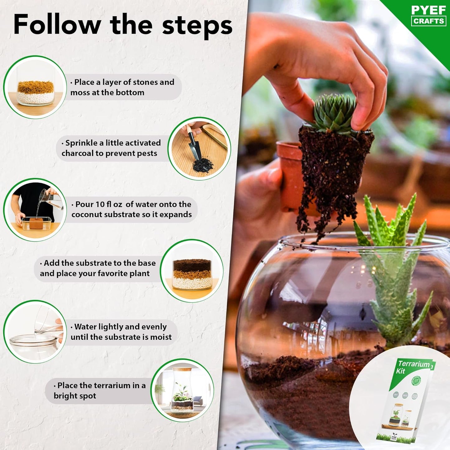 DIY Terrarium Kit for Adults – Build Your Own Self‑Sustaining Closed Ecosystem – 34 fl oz (1‑Liter) Glass Terrarium – Succulents, Air Plants, Fittonia, Fern – Plants Not Included