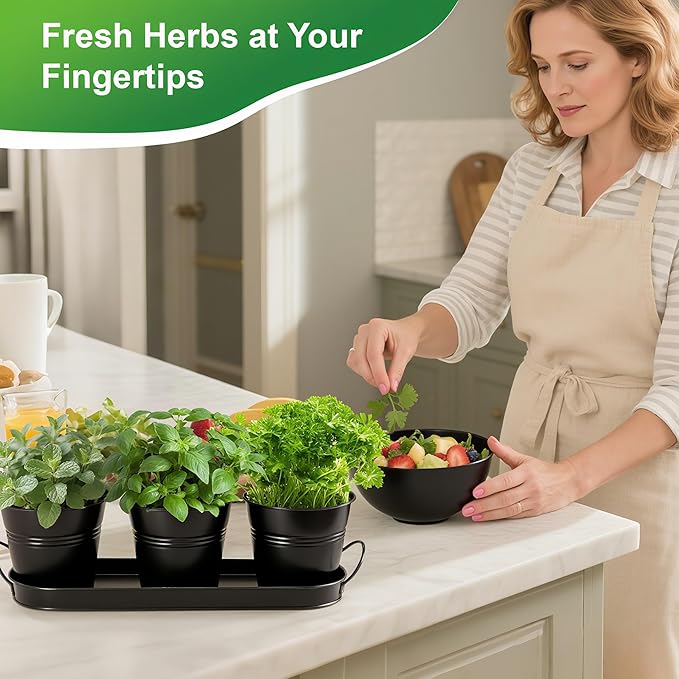 Herb Garden Planter Indoor Kit – 6 Metal Pots with 2 Trays for Windowsill & Kitchen Counter – Modern Decorative Indoor Planters for Herbs, Succulents & Small Plants, Black