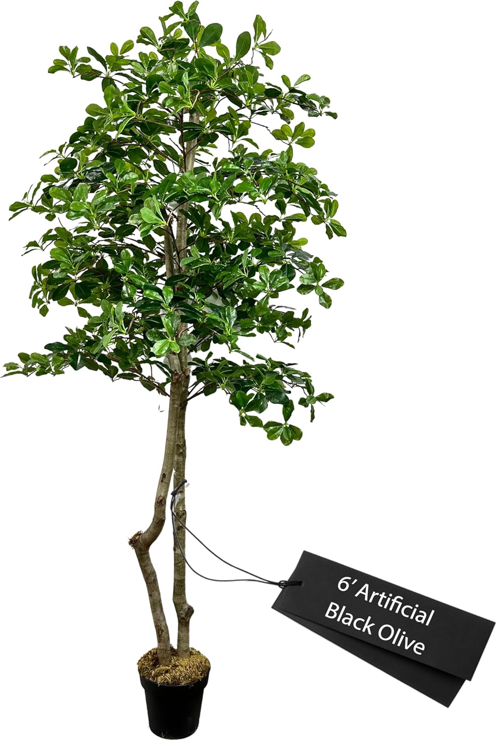 Cypress & Alabaster Handmade 6ft Italian Black Olive Leaf Artificial Tree with Ethically Sourced Real Wood Trunks, Hypoallergenic, 6-Foot, Green