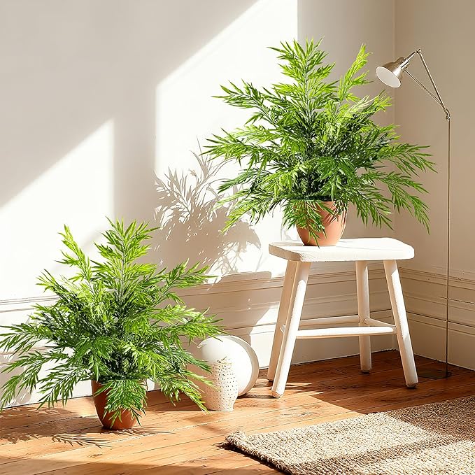 2 Pack Artificial Fern Plants in Pots Artificial Boston Ferns Potted Plants Faux Fern Bush Plant Shrubs Greenery for Outdoor Indoor Porch Patio Farmhouse Garden Living Room Office Table Decor (Type 3)