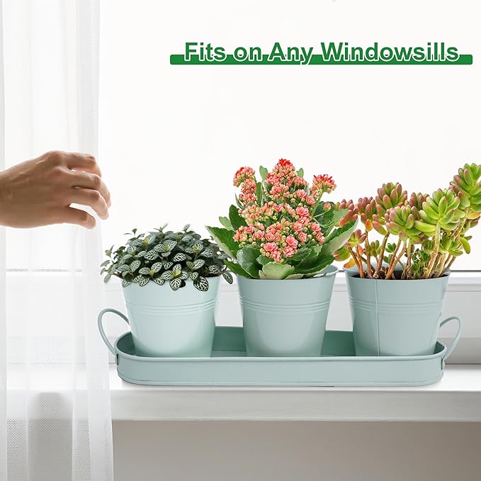 Herb Garden Planter Indoor Kit – 6 Metal Pots with 2 Trays for Windowsill & Kitchen Counter – Modern Decorative Indoor Planters for Herbs, Succulents & Small Plants, Mint