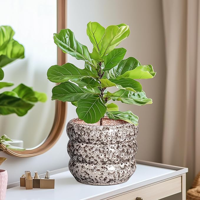 SQOWL Ceramic Plant Pots - 8 Inch Ceramic Planter for Indoor Plants Outdoor, Round Planter with Drainage Hole, Round Decorative Flower Pots, Living Room Office Garden Decor, Gardening Gifts, White