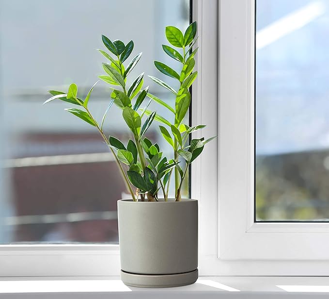 D'vine Dev Set of 2 Plants Pots, 6 Inch Ceramic Planter Pot for Plants with Drainage Hole and Saucer, Speckled Grey, 94-V-C-3