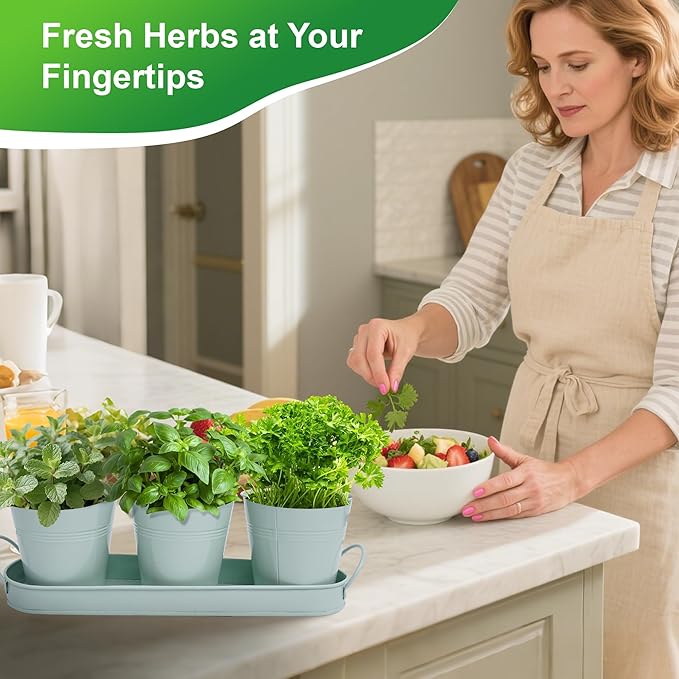 Herb Garden Planter Indoor Kit – 6 Metal Pots with 2 Trays for Windowsill & Kitchen Counter – Modern Decorative Indoor Planters for Herbs, Succulents & Small Plants, Mint