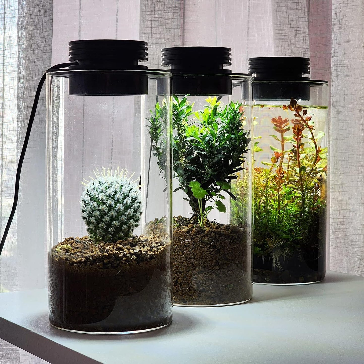 Desktop Glass Plant Terrarium with Grow Light (H:7.8" D:4"), for Succulent, Moss, Miniature Gardening Landscape, Betta Fish Tank, Office Home Decoration, Plant Lovers Gifts