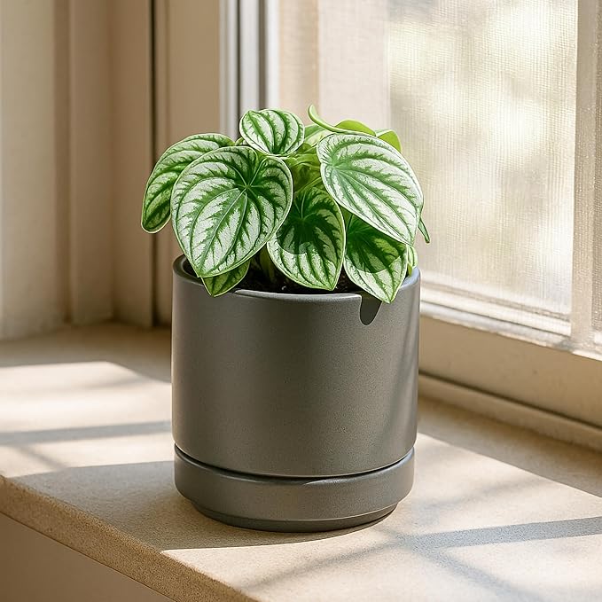 D'vine Dev Set of 2 Plants Pots, 4.7 Inch Ceramic Planter Pot for Plants with Drainage Hole and Saucer, Speckled Grey, 94-V-B-3