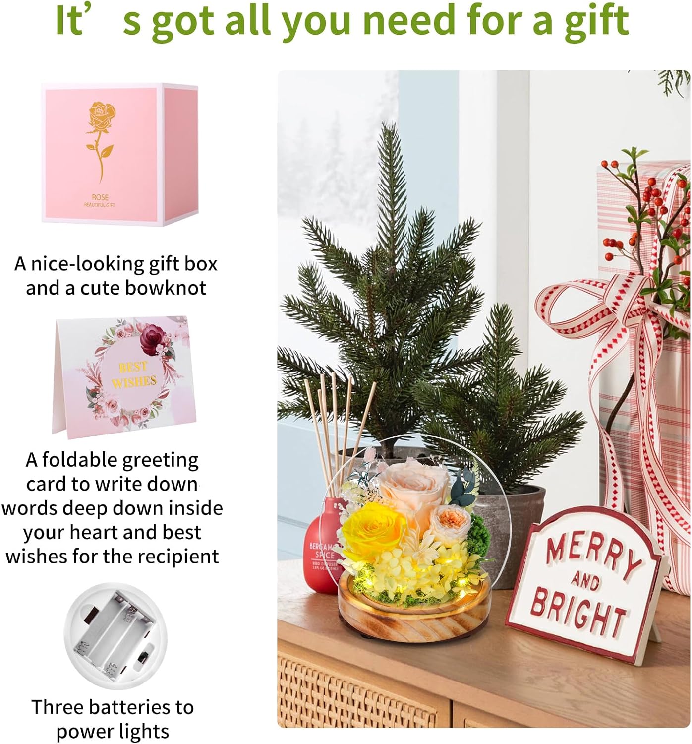 Long-Lasting Real Flowers,Preserved Roses with Hydrangea and LED Lights for Anniversary,Christmas,Birthday Present for Mom Grandma Wife Used as for Occasions(Champagne Rose)