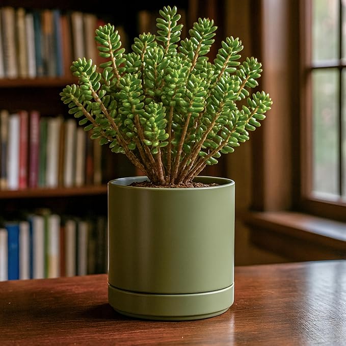 D'vine Dev Set of 2 Plants Pots, 6.5 Inch Ceramic Planter Pot for Plants with Drainage Hole and Saucer, Olive, 94-V-C-J