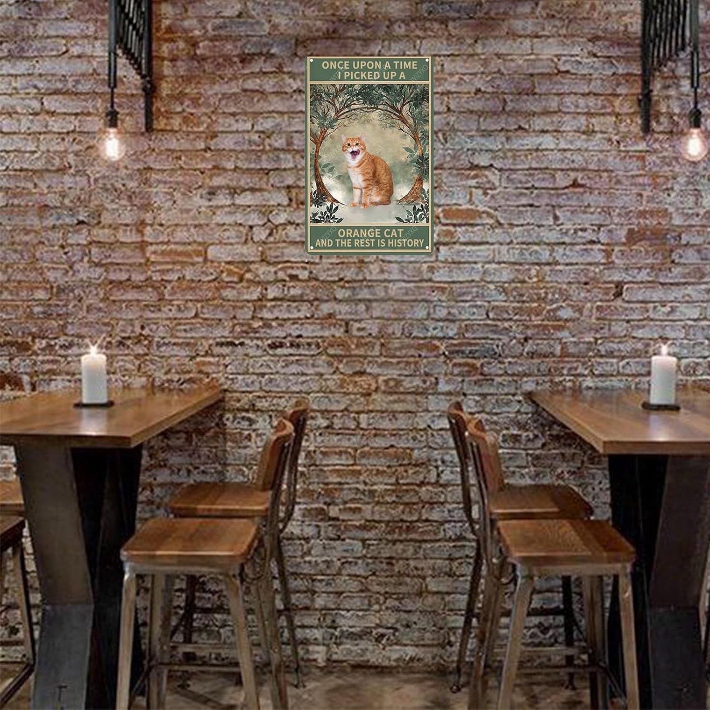 Metal Signs Once Upon A Time I Picked Up A Orange Cat And The Rest Is History Vintage Tin Sign for Home Office Kitchen Bar Cafe Garden Wall Decor 12x8 Inch