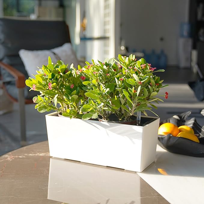 SAROSORA 14" Rectangle Self Watering Planter with Water Level Indicators for Plants & Flower Home Garden Outdoor Indoor Succulent | Herb pots | Window Box (1, White)