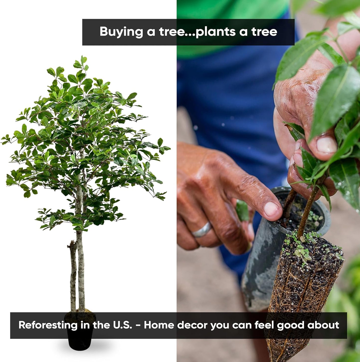 Cypress & Alabaster Handmade 5ft Italian Black Olive Leaf Artificial Tree with Ethically Sourced Real Wood Trunks, Hypoallergenic, 5-Foot, Green