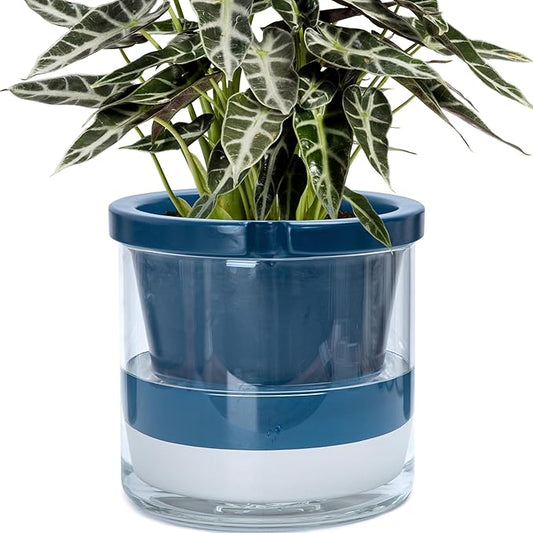 D'vine Dev 10 Inch Design Self Watering Planter for Indoor Plants, Blue Terracotta Pot with Cylinder Glass Cup, 37-X-D-4