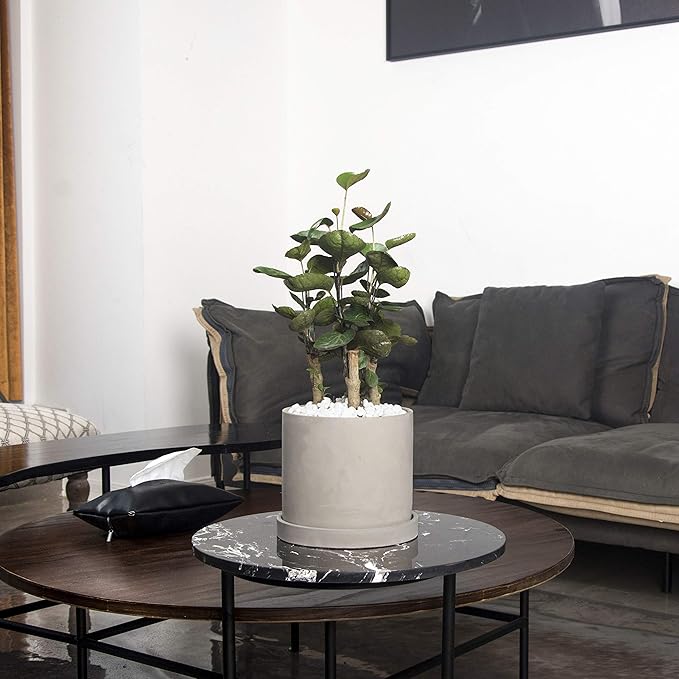 Ekirlin 6 Inch Flower Plant Pot Indoor - Grey Cement Garden Planter Concrete Planter with Drain Hole Saucer, Modern Succulents Containers for Home Decor, Office & Outdoor