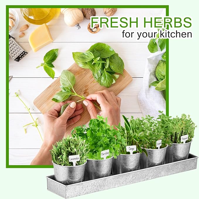 2 Sets Herb Garden Planter Indoor Kit with Trey 10 Pcs Metal Windowsill Plant Pots with Drainage Holes Indoor Herb Planter with Marker and Labels for Home Outdoor Plants(Silver)
