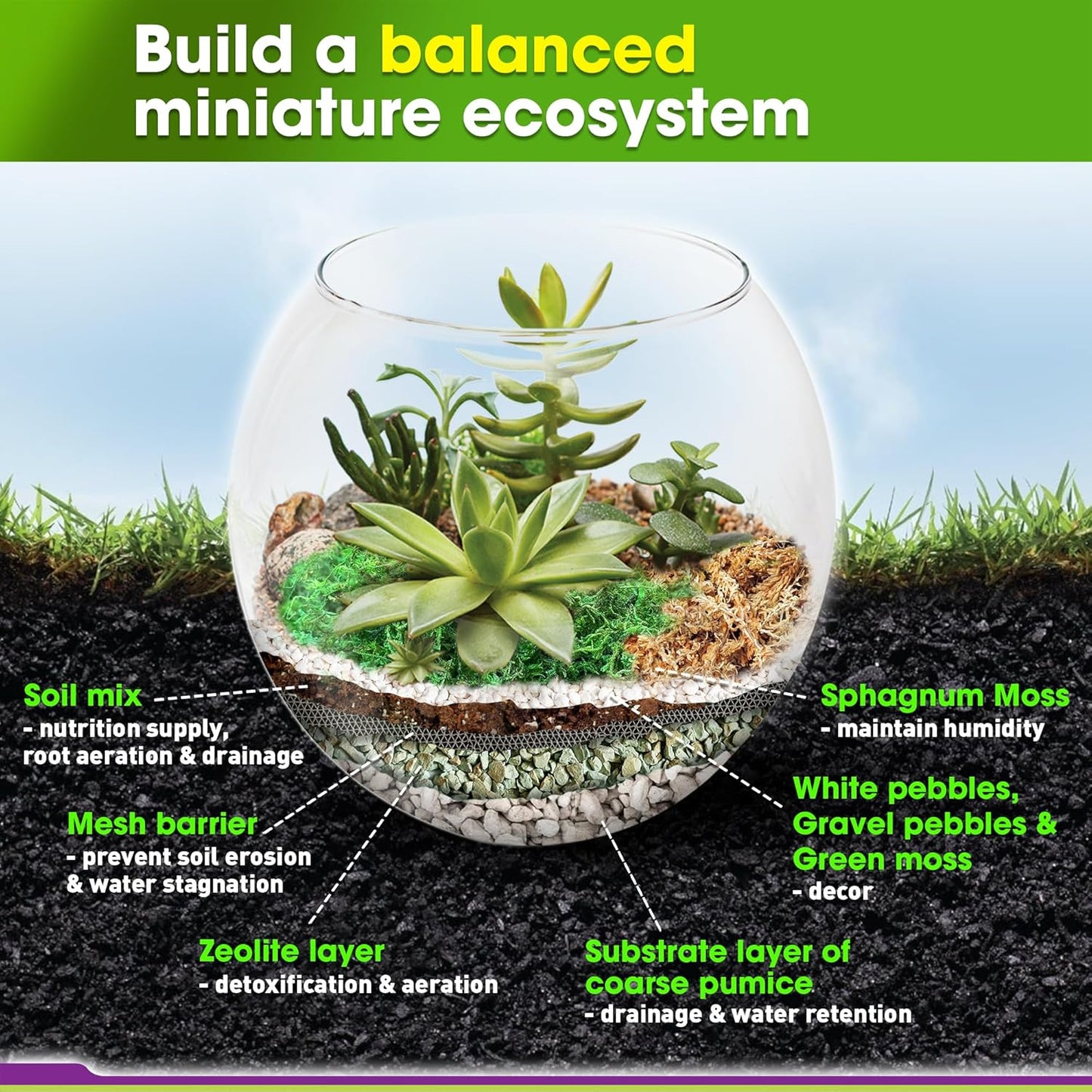 DUSPRO Recycle Terrarium Kit, Include Potting Soil, Pumice, Zeolite, Green Moss, Sphagnum Moss, Decorative Stone, Mesh, Tools, DIY Terrarium Kit for Kids, Air Plant, Succulent