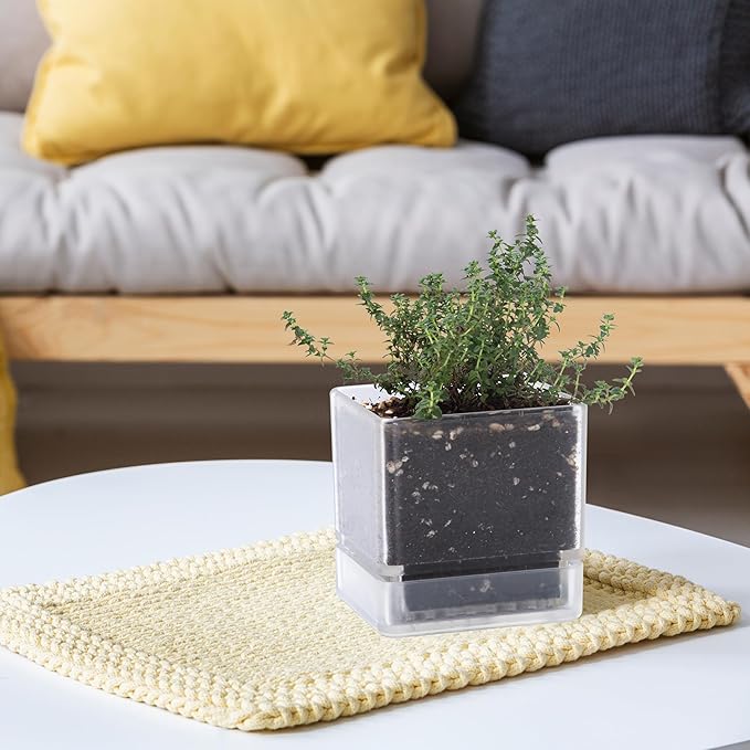 4 Inch Herb Planter Pot, Plastic Planter with Drainage Holes and Saucer, Modern Decorative Gardening Pot for Indoor Plants, Flowers, Herbs, Succulents, Clear, Set of 2, 76-Y-D-2