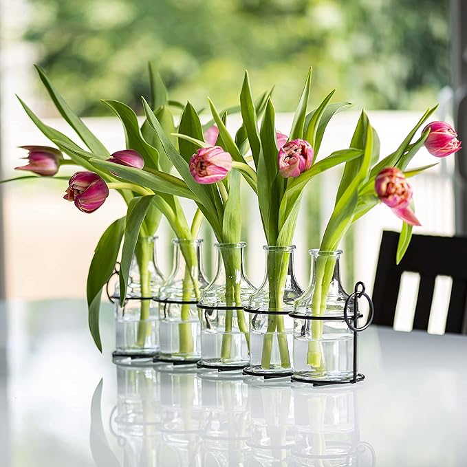 5pc Glass Flower Vase with Metal Holder, Best Vases for Flowers, Set for Home Decor, Wedding Decorations, Table Decor, Kitchen, Bathroom, Bedroom, Shelf Decor, Best Modern Vase for Flower Arrangement