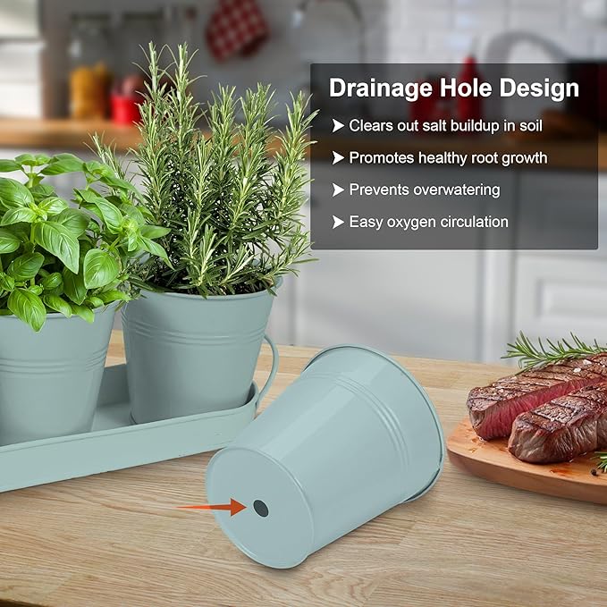 Herb Garden Planter Indoor Kit – 6 Metal Pots with 2 Trays for Windowsill & Kitchen Counter – Modern Decorative Indoor Planters for Herbs, Succulents & Small Plants, Mint