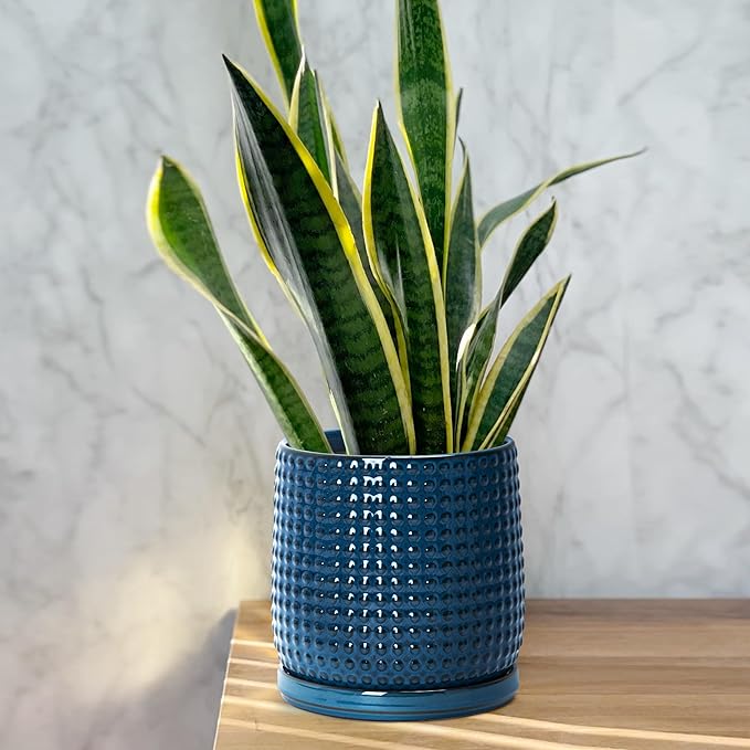 D'vine Dev 6 Inch Ceramic Beaded Stoneware Planter Pot - Flower Pot with Drainage Holes and Saucers for Indoor Succulent Plants or Flowers, Midnight Blue, 27-C-X-3