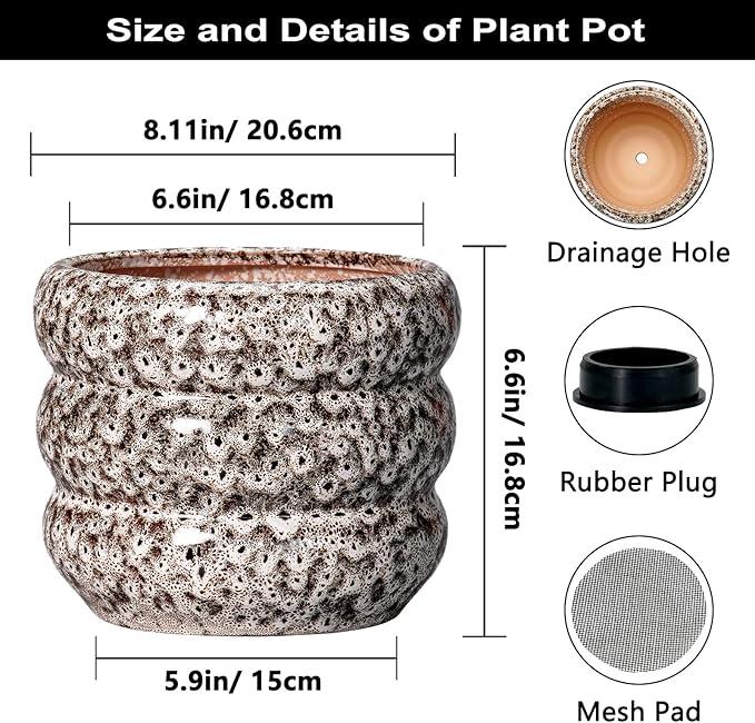 SQOWL Ceramic Plant Pots - 8 Inch Ceramic Planter for Indoor Plants Outdoor, Round Planter with Drainage Hole, Round Decorative Flower Pots, Living Room Office Garden Decor, Gardening Gifts, White