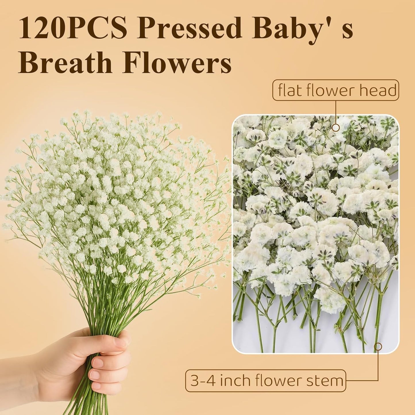Dried Baby' s Breath Flowers Bulk - 120Pcs Pressed Babys Breath for Invitations, Resin Art & DIY Crafts, Natural White Baby Breath with Green Stem for Wedding Cards, Nail Art, Scrapbook