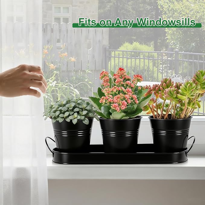 Herb Garden Planter Indoor Kit – 6 Metal Pots with 2 Trays for Windowsill & Kitchen Counter – Modern Decorative Indoor Planters for Herbs, Succulents & Small Plants, Black
