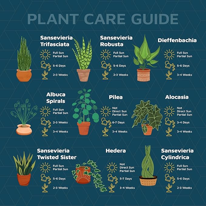 Pink 6-Inch Plant Pots with Drainage & Saucers 12 Pack, Indoor & Outdoor Planters for Houseplants, Herbs, and Flowers, Durable & Weatherproof Material, Stackable, Lightweight, Minimalist Design