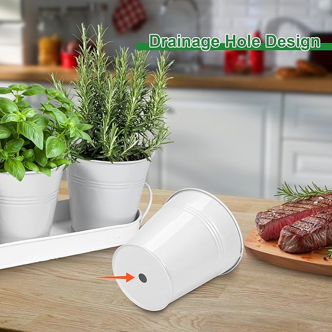 Herb Garden Planter Indoor Kit – 6 Metal Pots with 2 Trays for Windowsill & Kitchen Counter – Modern Decorative Indoor Planters for Herbs, Succulents & Small Plants, White