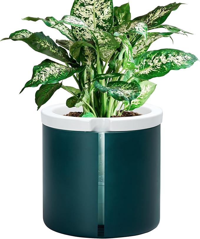 D'vine Dev 8 Inch Design Self Watering Planter for Indoor Plants, White Terracotta Pot with Teal Cylinder Glass Cup, 37-X-C-5