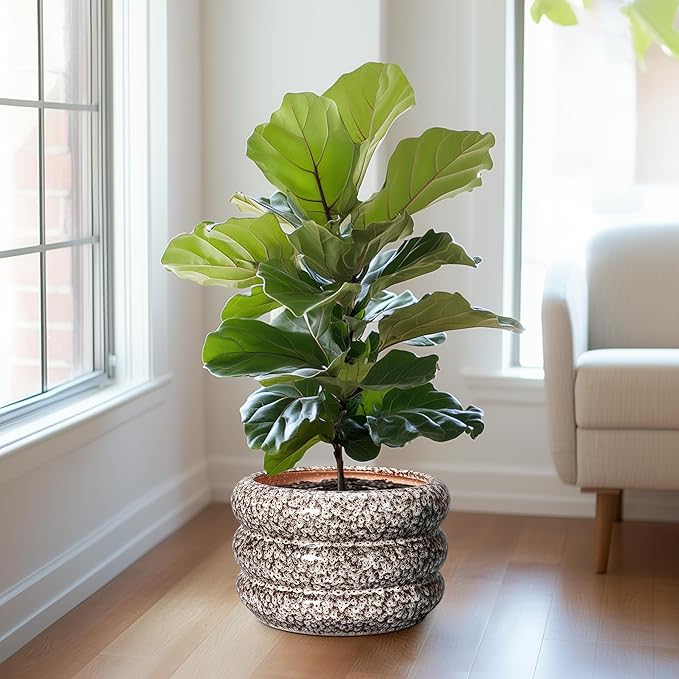 SQOWL Ceramic Flower Pots - 13.5 Inch Plant Pot with Drainage Hole, Large Ceramic Planter for Indoor Plants, Round Modern Planter Outdoor, Porch Home House Decor, Plant Lover Gifts, White