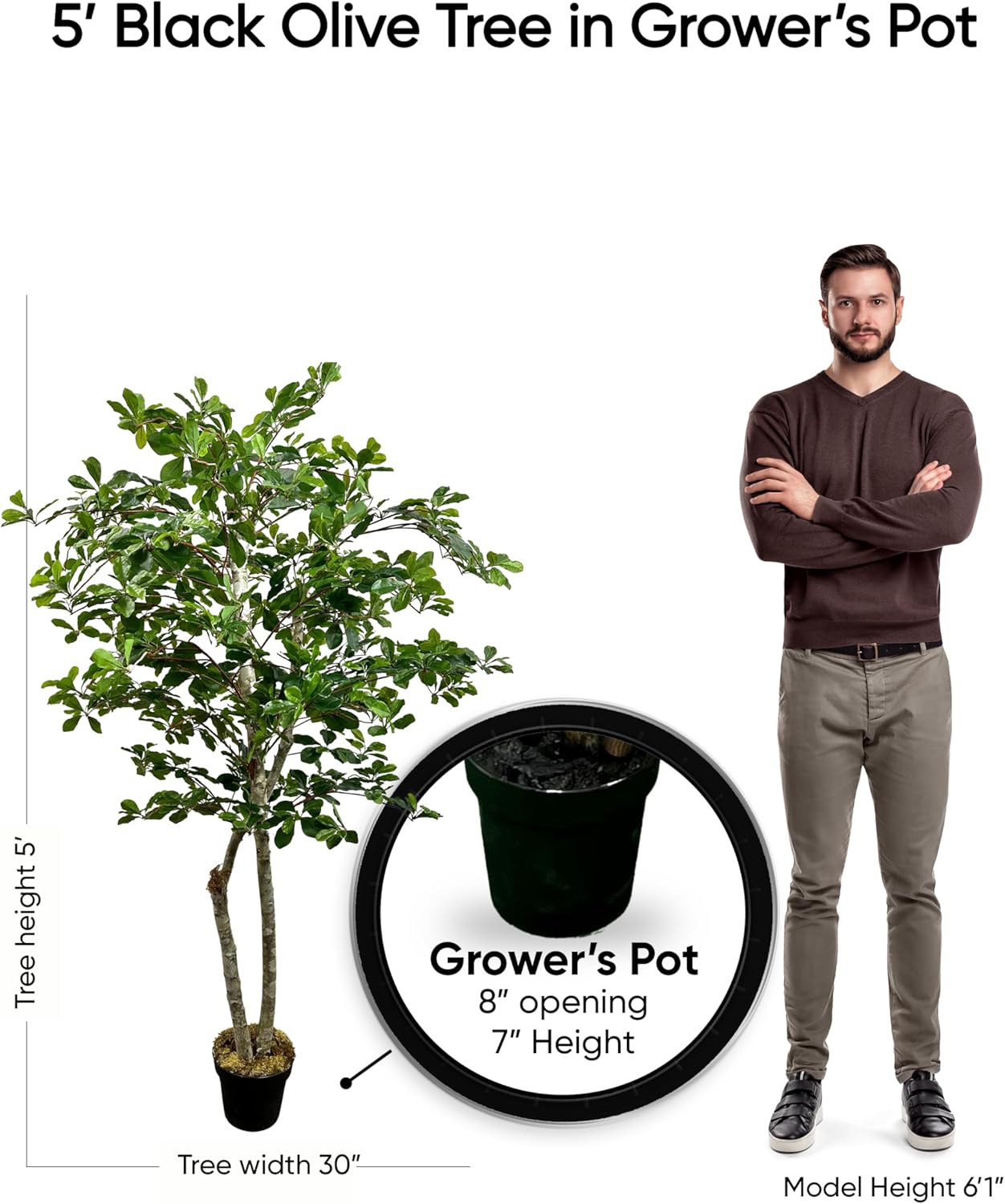 Cypress & Alabaster Handmade 5ft Italian Black Olive Leaf Artificial Tree with Ethically Sourced Real Wood Trunks, Hypoallergenic, 5-Foot, Green