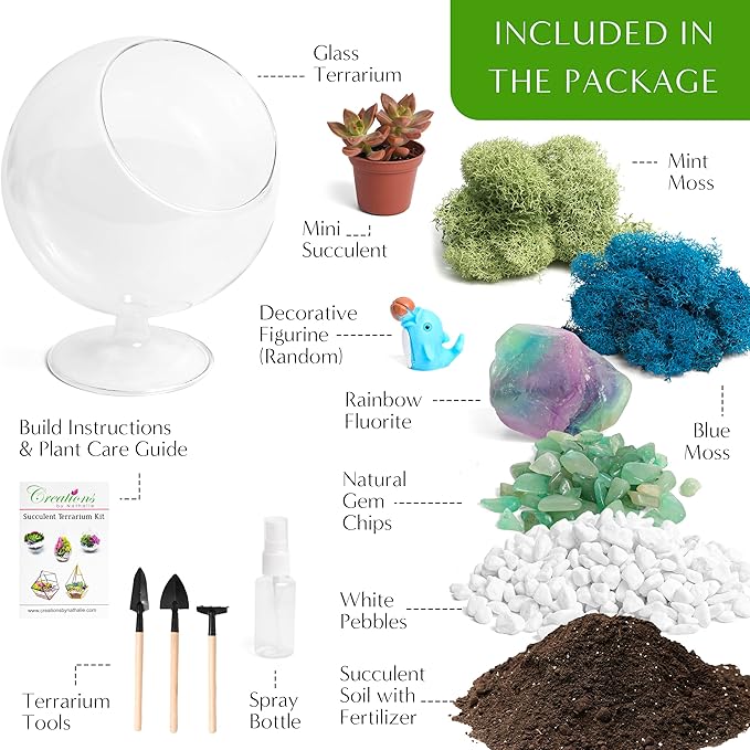 6" DIY Chalice Terrarium Kit with Live Plants - Build Your Own Glass Terrarium for Adults & Kids with Moss, Crystals, Soil, Tools & Figurine - Mini Ecosystem - Made in The USA